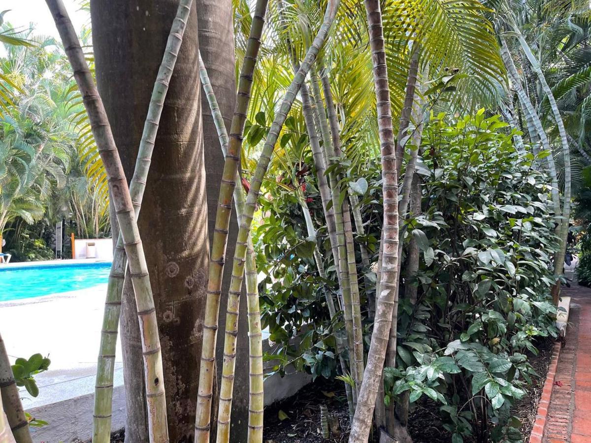 Apartment The Of Marbella Puerto Vallarta